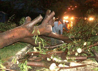 Workers clear a fallen tree on Nguyen Van Linh Highway in Binh Chanh District in HCMC on May 23 (Photo: SGGP)